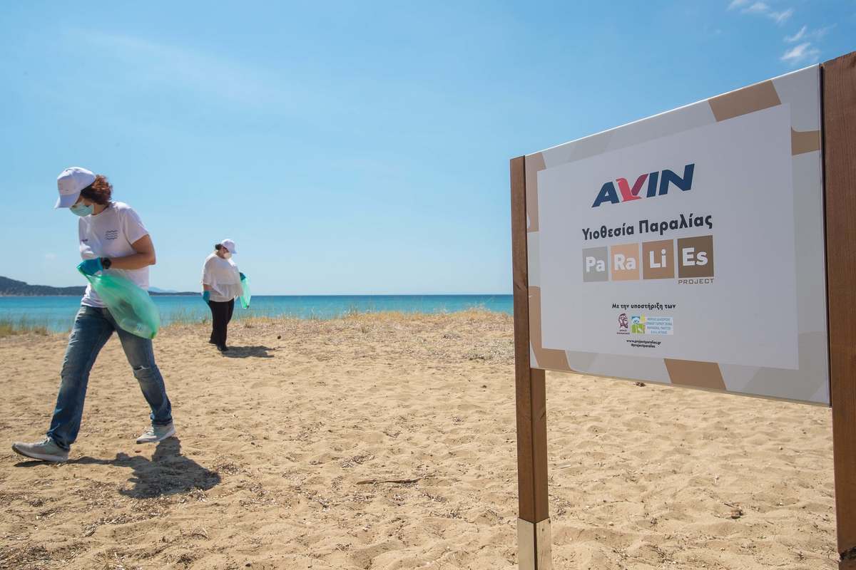 AVIN 3