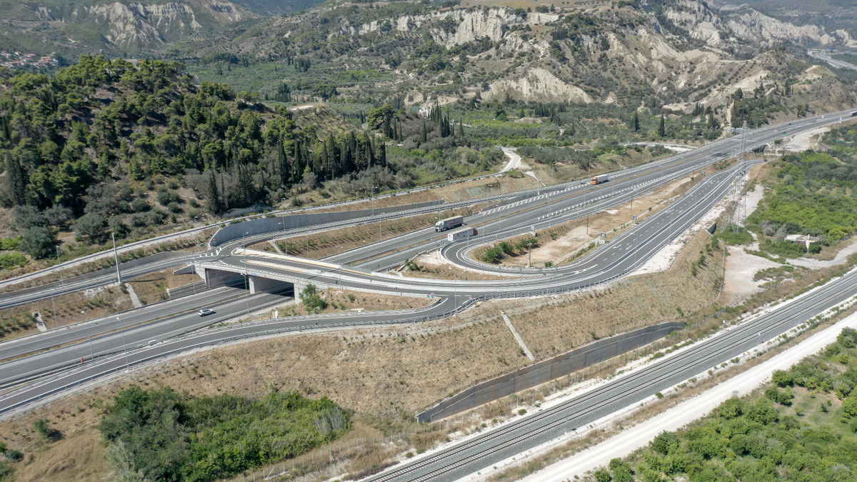 Licoporia IC Photo 1