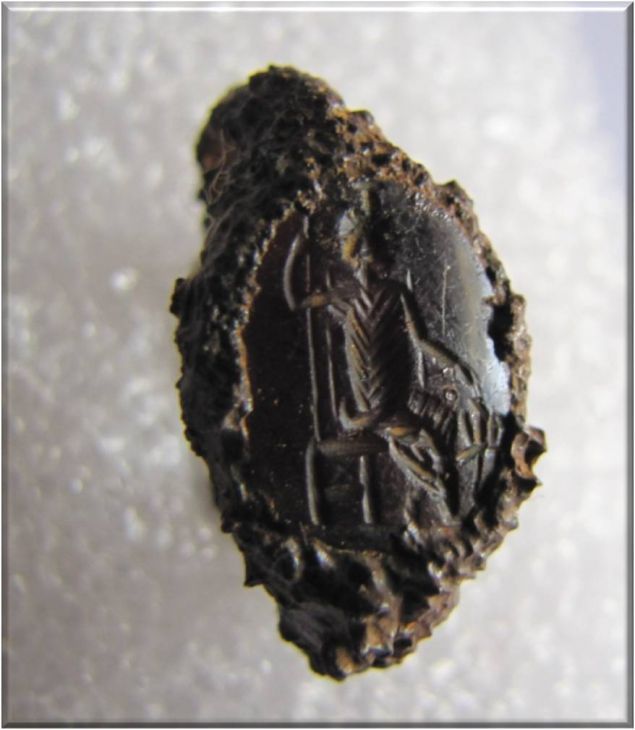 xiliomodi1
