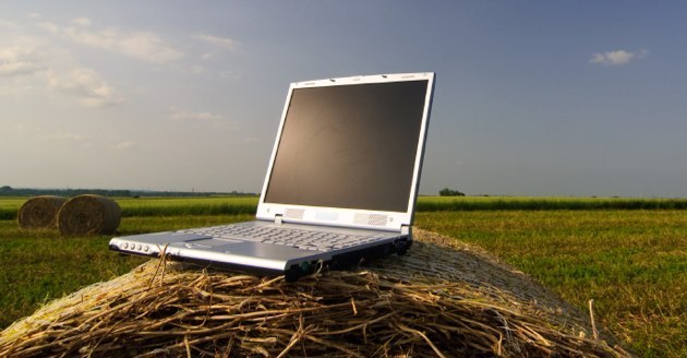 INTERNET agrotes630