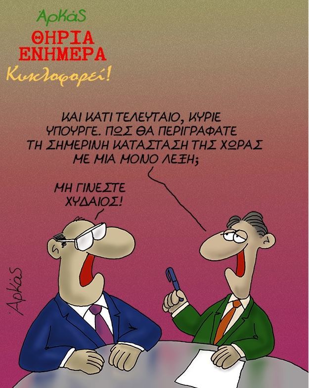 dimo 3