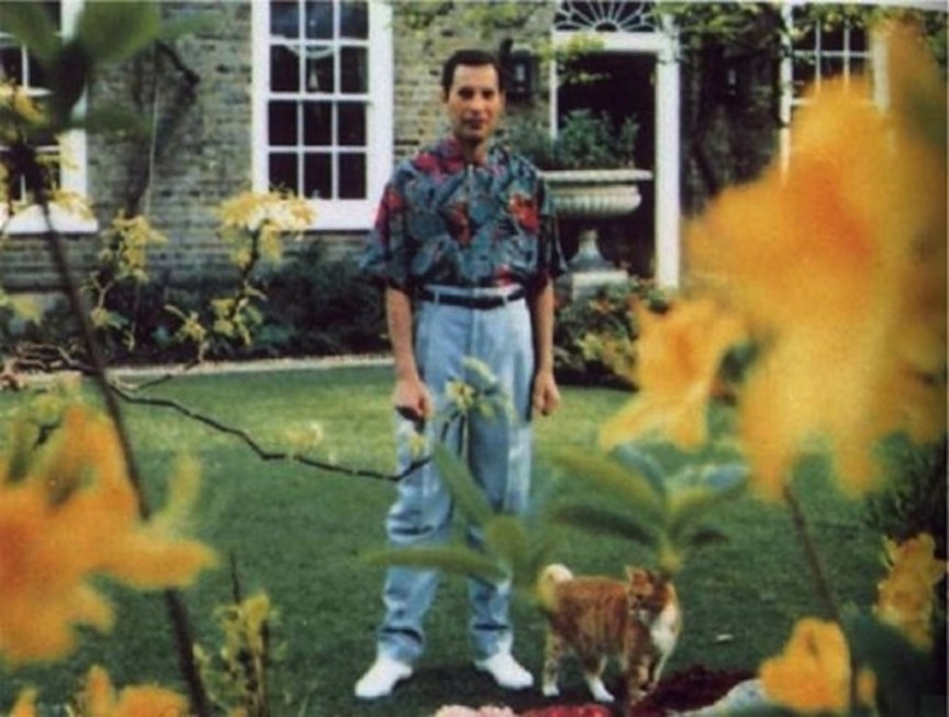 freddie mercury1