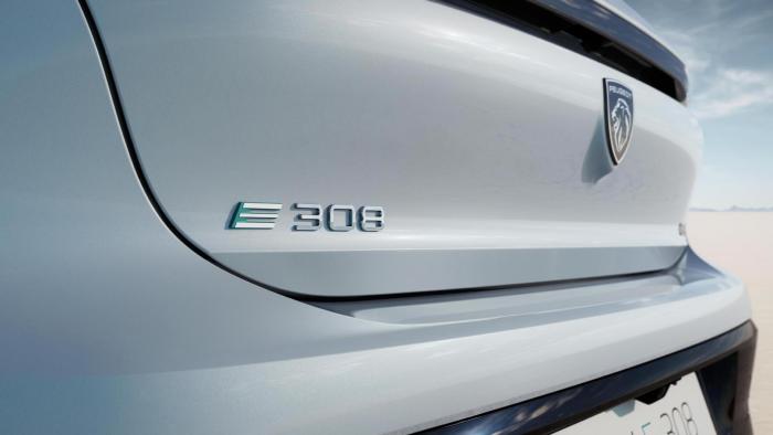 e 308 1