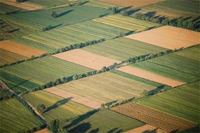 agrotemaxia400 220413