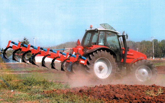 agrotes525 290113