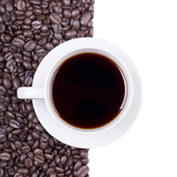 cafes177 300113