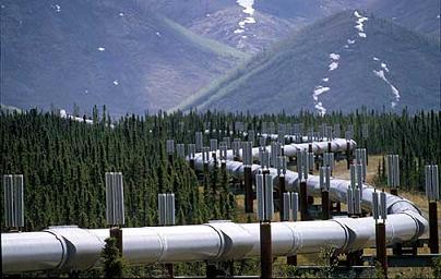 pipeline404 240513