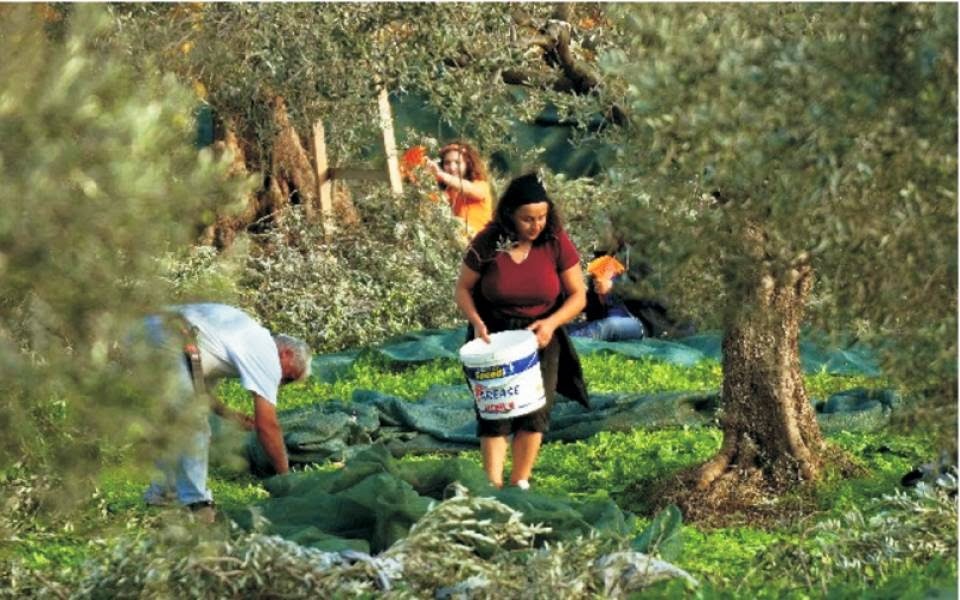 agrote100114