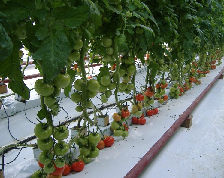 agroti230114