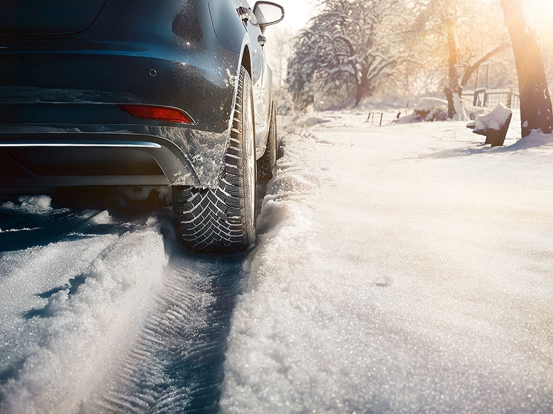 CO WP17 Deep Snow
