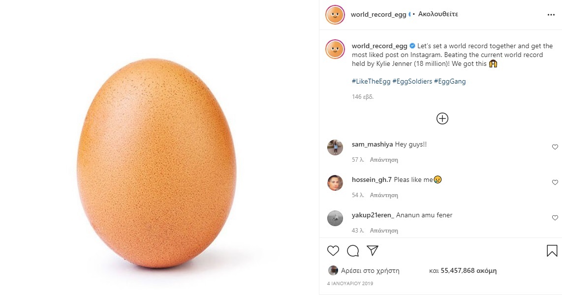 egg