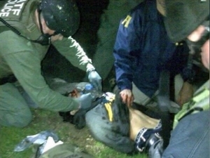 boston arrests300