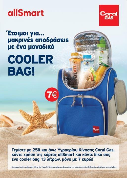 cooler bag.jpg