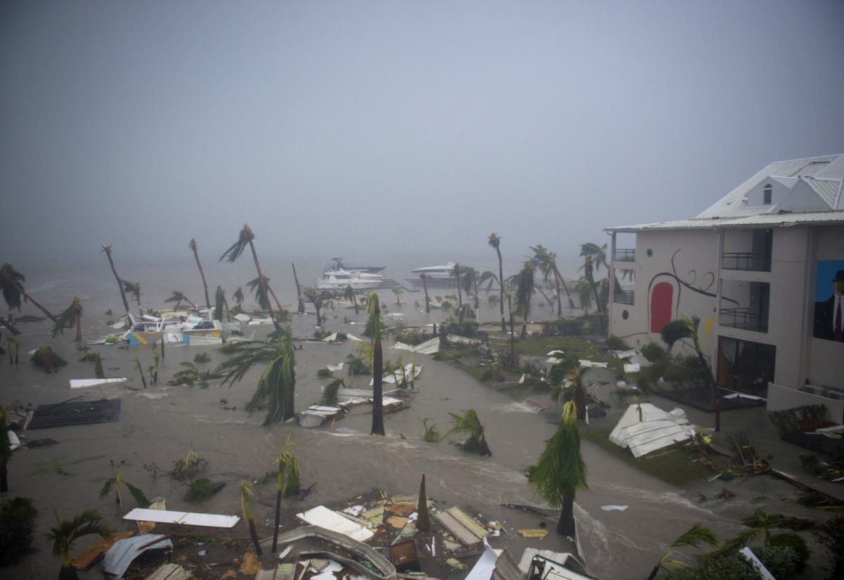 irma6