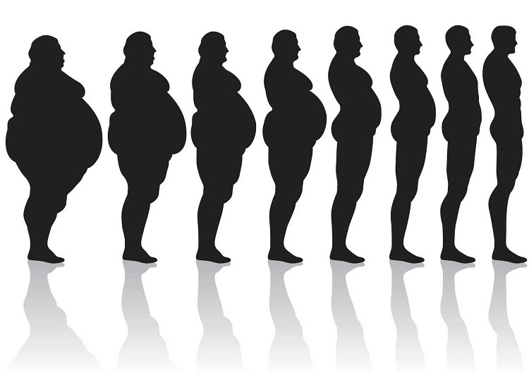Fat-to-Thin