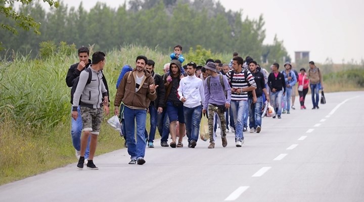 amnesty4