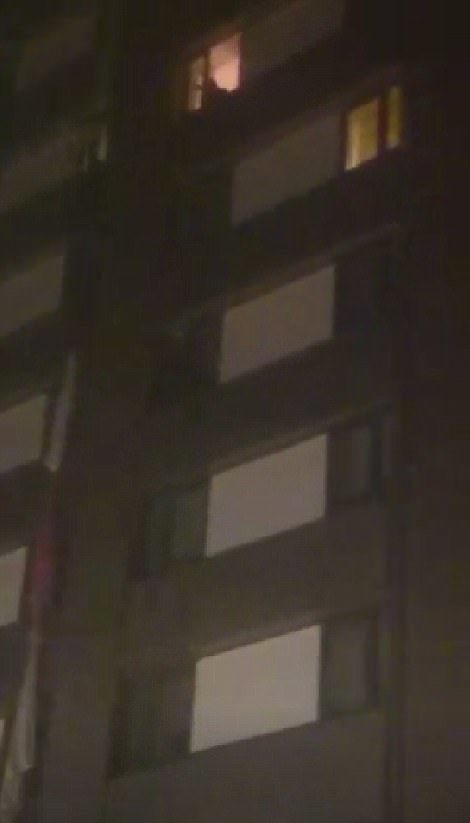 foto sentonia 1