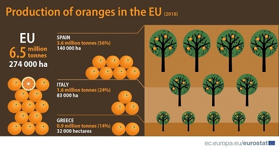 Oranges production