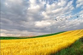 agrote130514