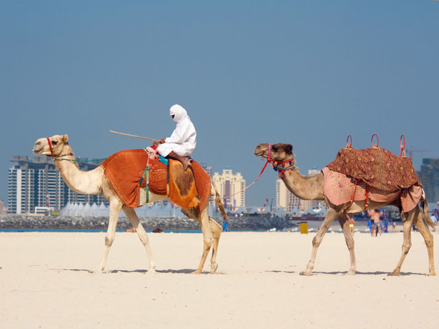 arabiabu060514