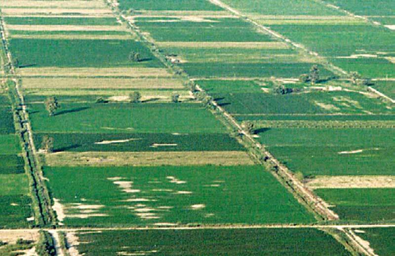 logariasmo200214