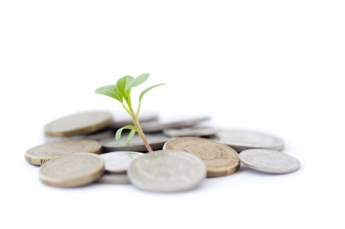 investment growth496