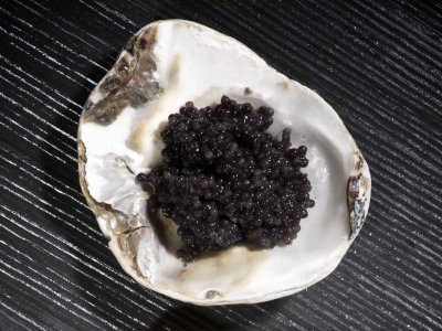 17-iranian-beluga-caviar
