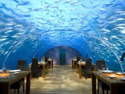 dine-underwater-and-check-out-the-sea-life-at-a-maldives-restaurant