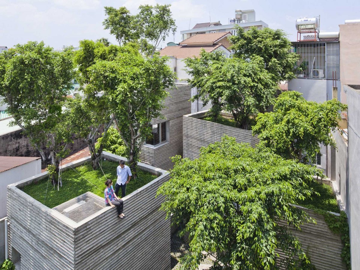 house of trees