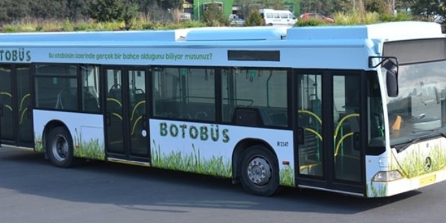 prasinobus2
