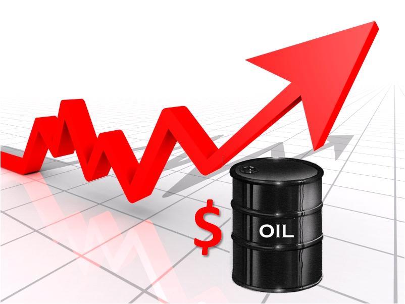 oil price802