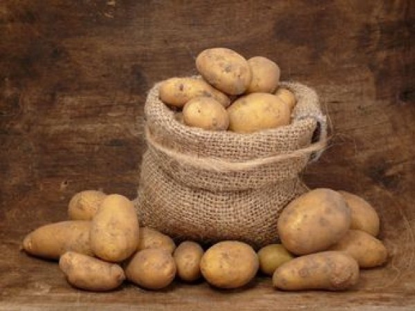 patates010114