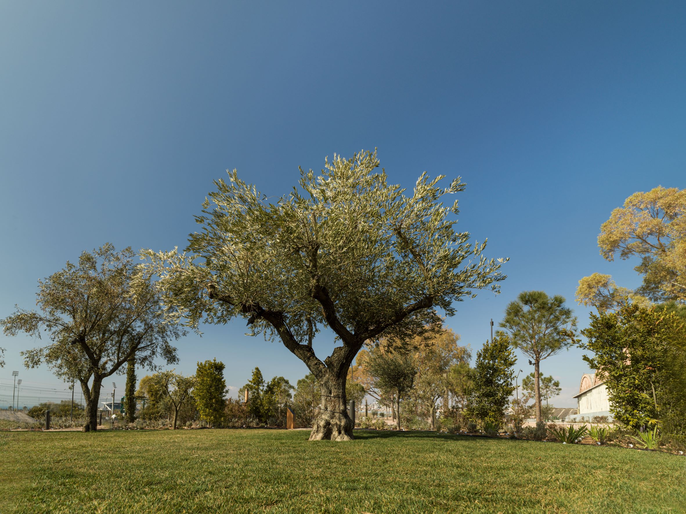Experience Park Κήπος Ζεν