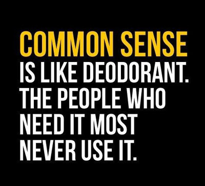 sensible