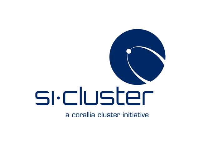 si-cluster