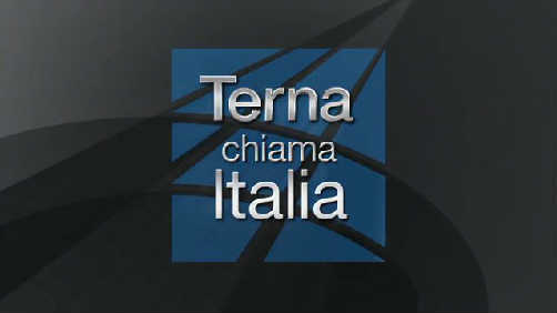 terna1