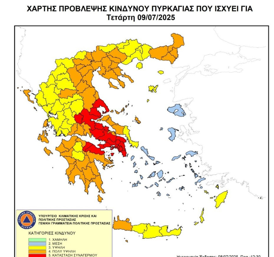 xartis_442d3.jpg