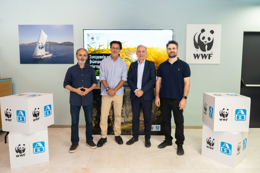 Launch_WWF_AB_90a03.jpg