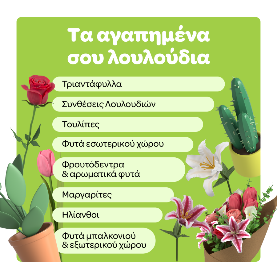 6._Consumer_Report_-_Wolt_01875.png