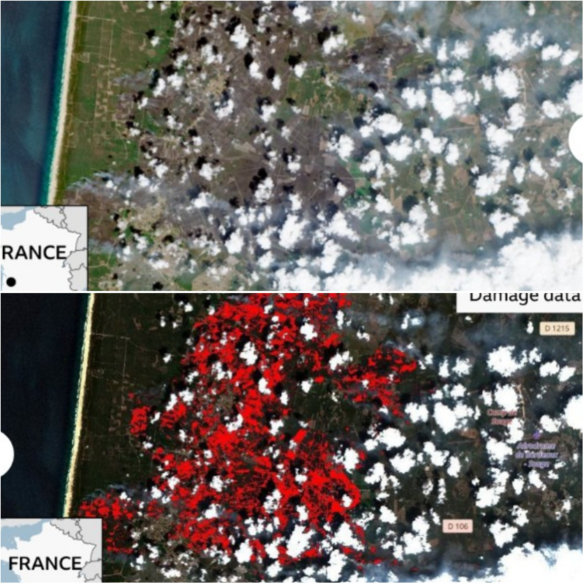rfdv_e866f.jpeg