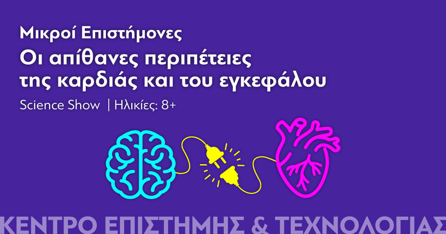 ie_heart_brain_0404a8f10705c42d.jpg