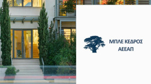 ΜΠΛΕ ΚΕΡΔΟΣ: Τζίρος €14,6 εκατ. το 2024- Εκτινάχθηκε κατά 118%