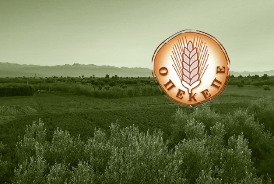 Καταλογισμός €8 εκατ. για ξέπλυμα μαύρου χρήματος σε αγροτοσυνδικαλιστή της Κρήτης