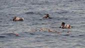 Νέα τραγωδία στο Αιγαίο: Πέντε νεκροί από βύθιση σκάφους