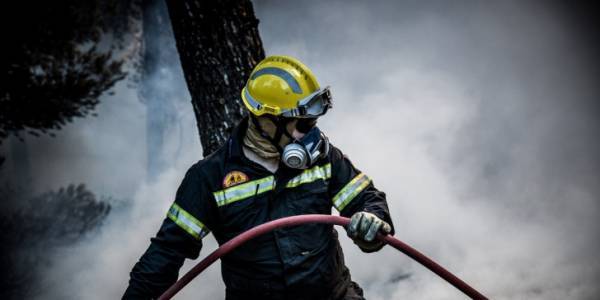 Πυροσβεστική: 55 δασικές πυρκαγιές το τελευταίο 24ωρο στην ελληνική επικράτεια