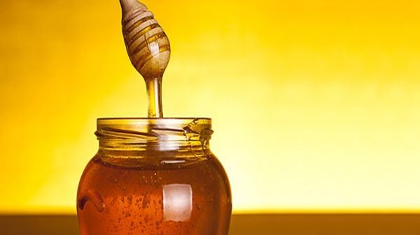 S.O.S της Ευρωβουλής…Το μέλι, τρίτο νοθευμένο προϊόν στον κόσμο!