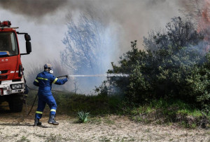 Πυροσβεστική: 42 δασικές πυρκαγιές το τελευταίο 24ωρο