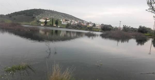 Σε λίμνη μετατράπηκε η Χαλκίδα από τις πλημμύρες