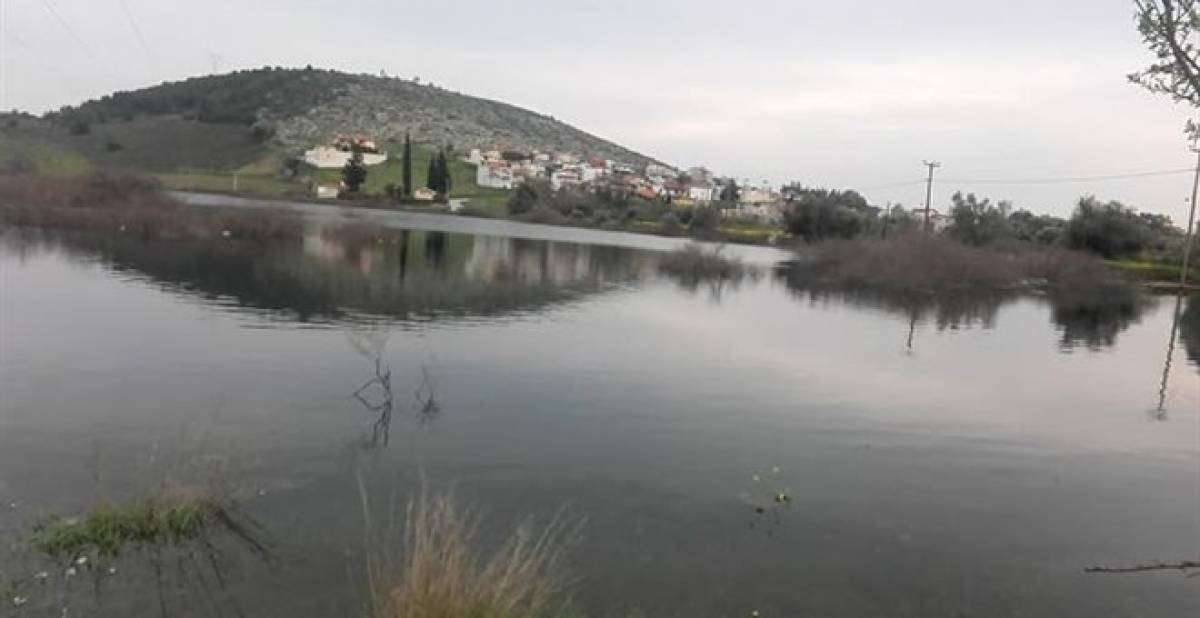Σε λίμνη μετατράπηκε η Χαλκίδα από τις πλημμύρες