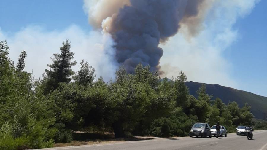 Πυρκαγιά στα Βίλια: Εκκενώνεται ο οικισμός Βενίζα